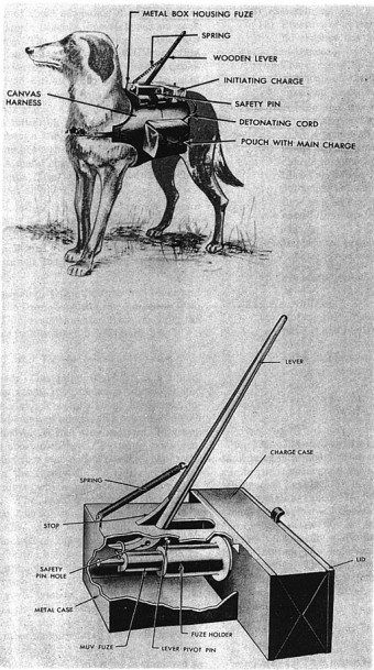 Illustration for article titled Exploding Dogs Were Used as Mobile Anti-Tank Mines During World War II